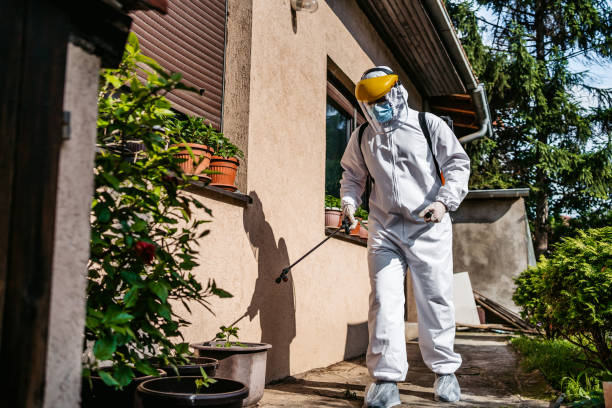 Best Pest Control Near Me  in Kingston, NJ