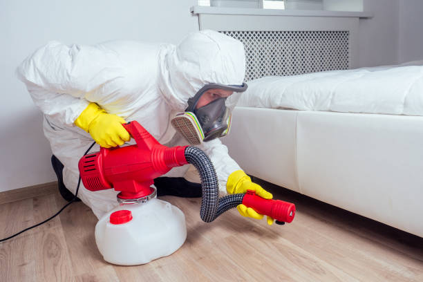Best Termite Control Services  in Kingston, NJ