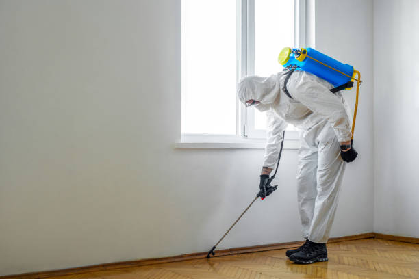 Best Commercial Pest Control Services  in Kingston, NJ