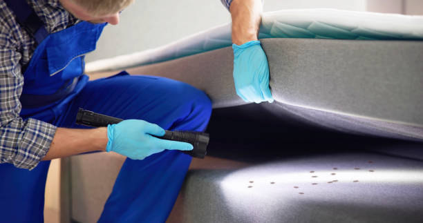 Best Best Pest Control Companies  in Kingston, NJ