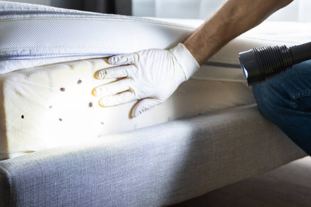 Best Bed Bug Extermination  in Kingston, NJ