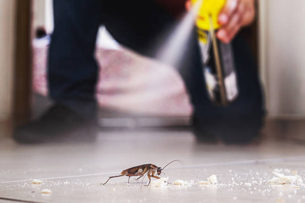 Best Pest Control for Homes  in Kingston, NJ