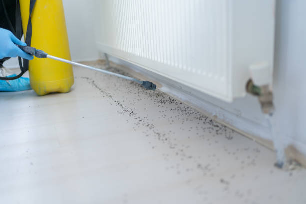 Best Exterminator Services  in Kingston, NJ