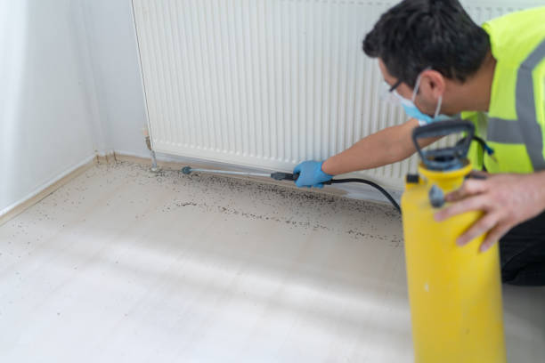 Best Pest Inspection Near Me  in Kingston, NJ