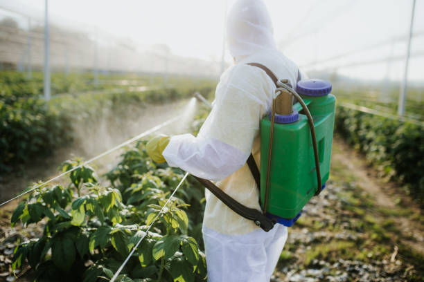 Best Local Pest Control Services  in Kingston, NJ